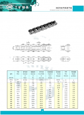 山东B系列精密滚子链